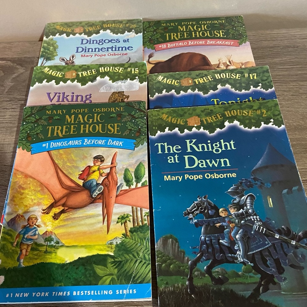 Lot of Magic Tree House Books-6 books